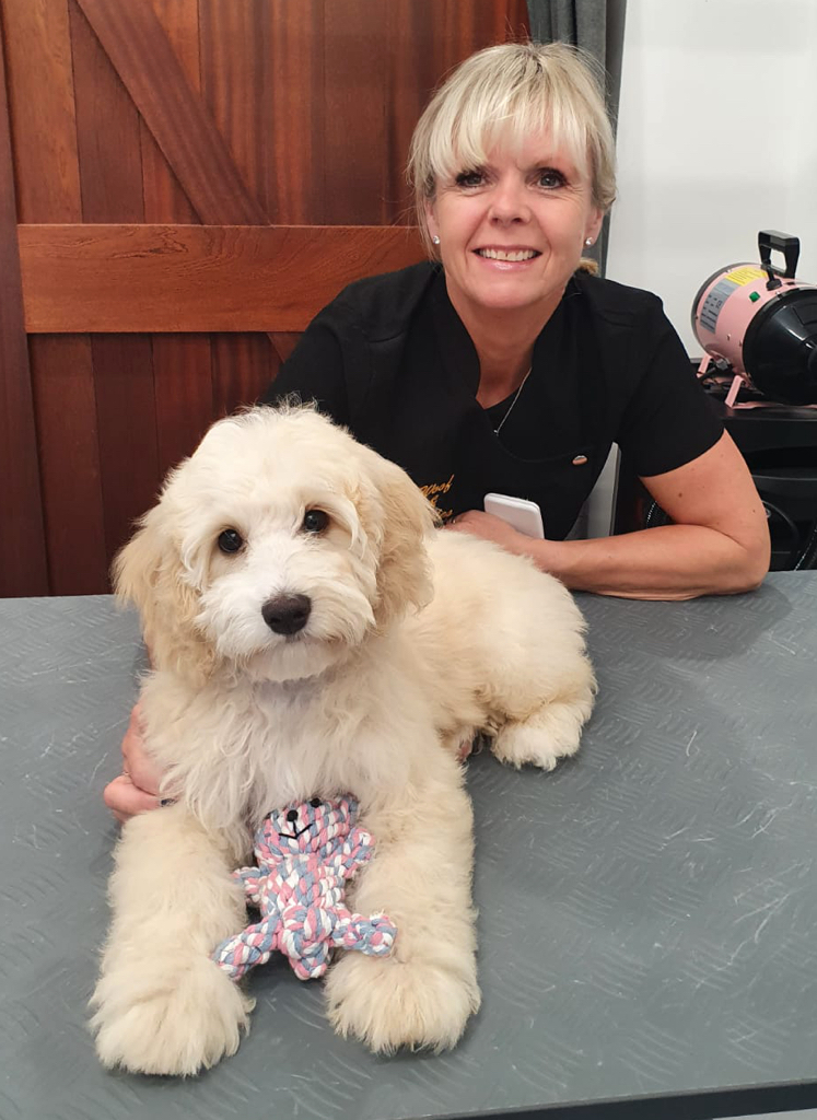 Little Monty has his first ever visit to a groomer - 16 weeks old and so cute! He loved his groom as much as I loved grooming him!